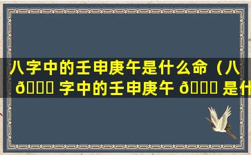 八字中的壬申庚午是什么命（八 🐞 字中的壬申庚午 🐒 是什么命人）